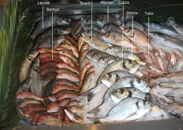 Number One Apart Apartmanhotel Karaburun