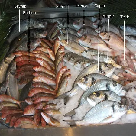 Number One Apart شقة فندقية قرابورون